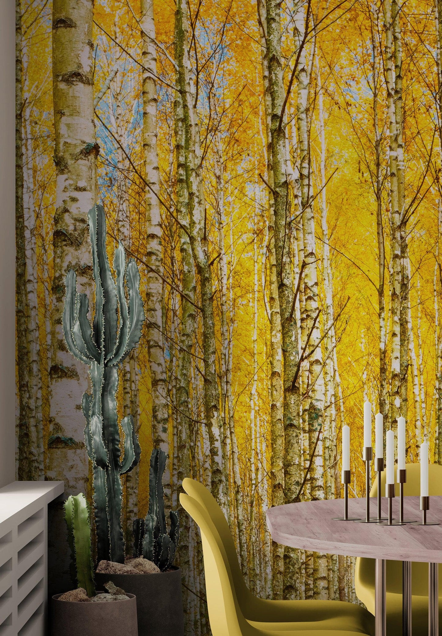 Autumn Scenic Birch Tree Forest Wall Mural | Peel and Stick Wallpaper. #6202