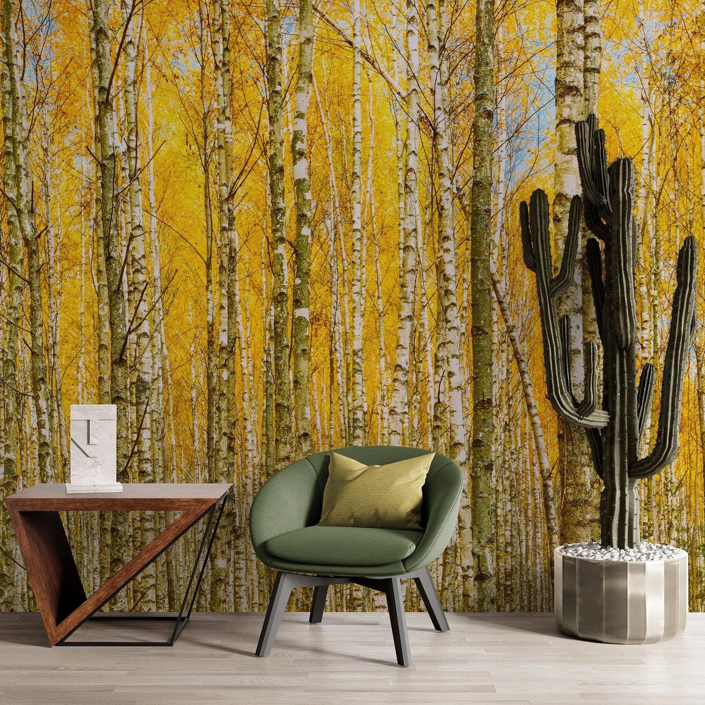 Autumn Scenic Birch Tree Forest Wall Mural | Peel and Stick Wallpaper. #6202