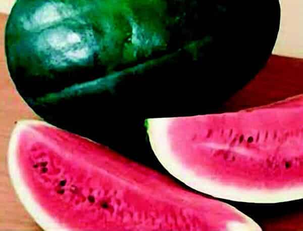 Black Diamond Watermelon Seeds