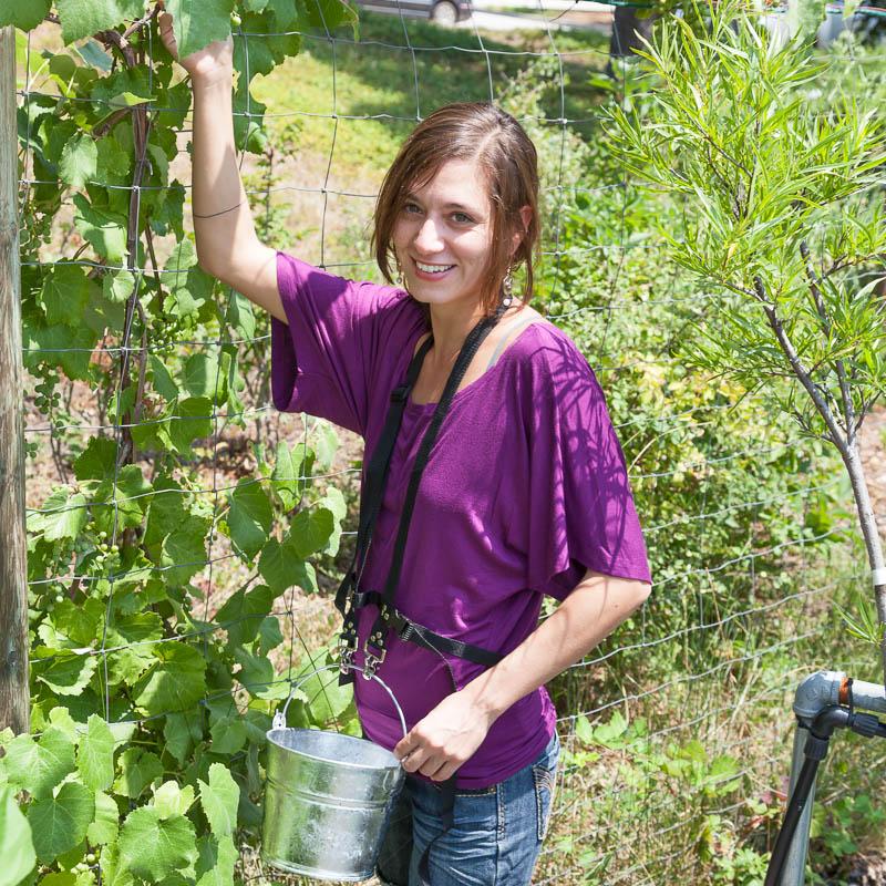 Blueberry Pail Picking Harness