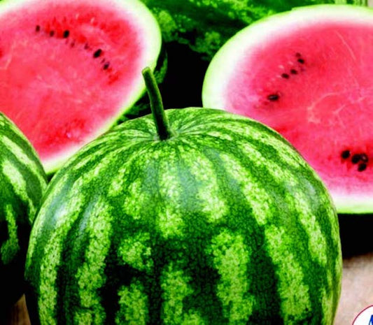 Cal Sweet Bush Watermelon Seeds