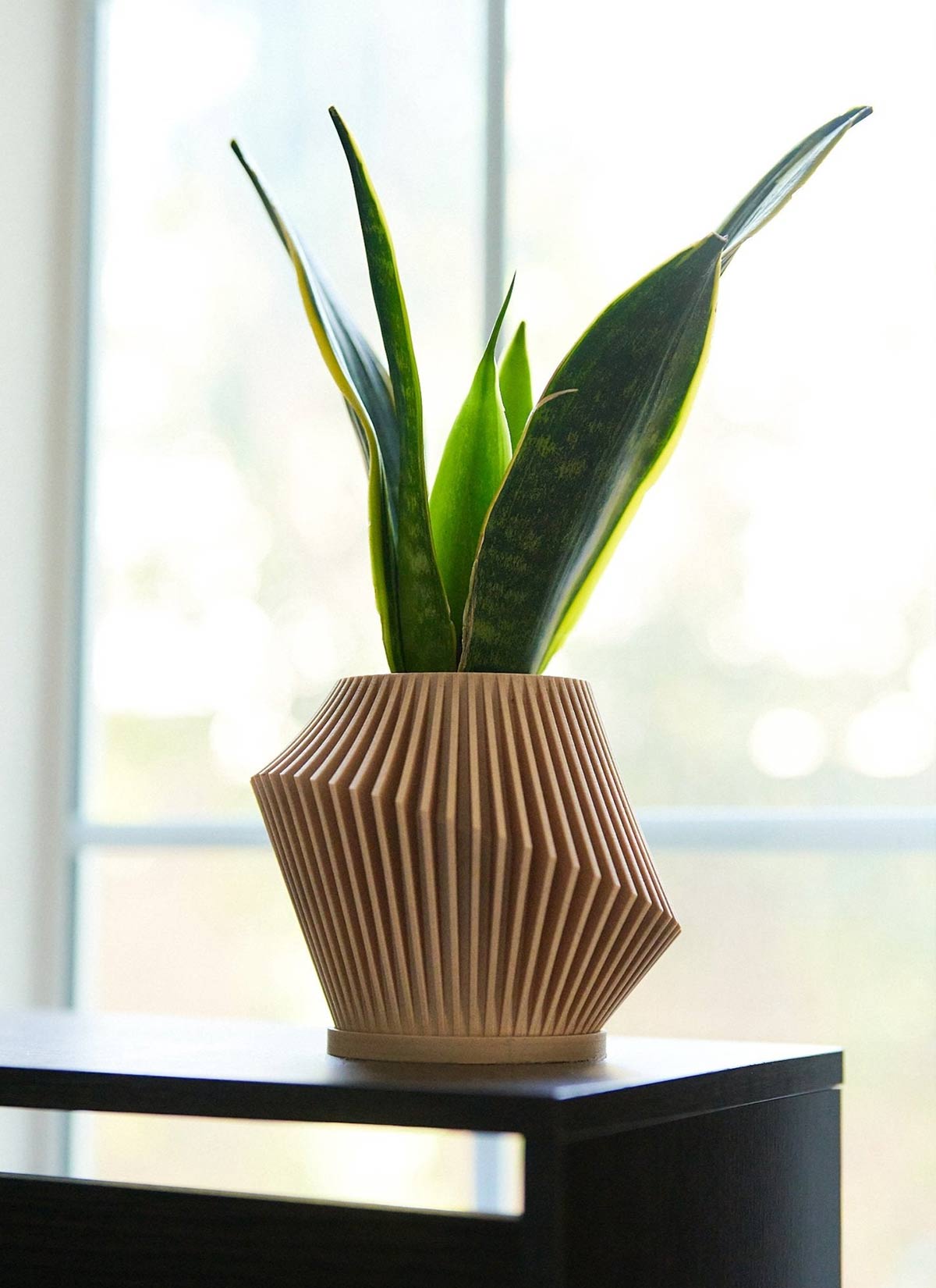 Disc Modern Indoor Planter