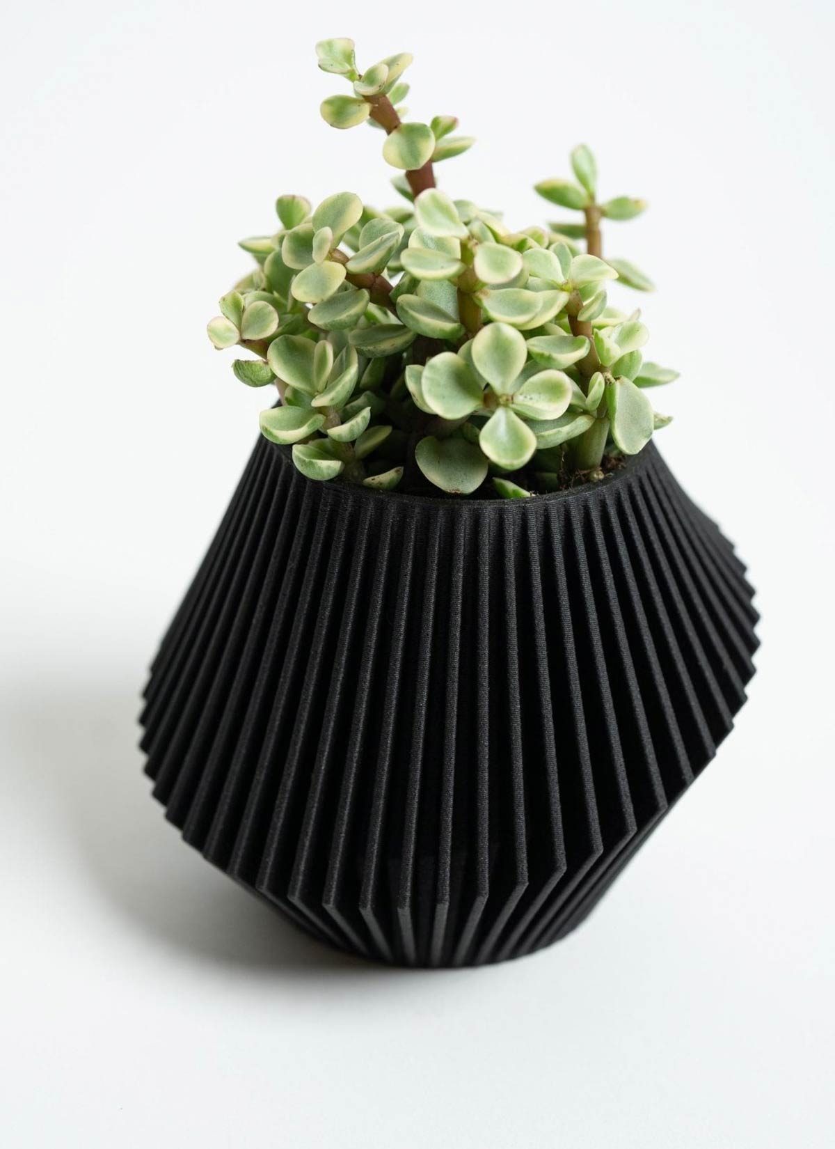 Disc Modern Indoor Planter