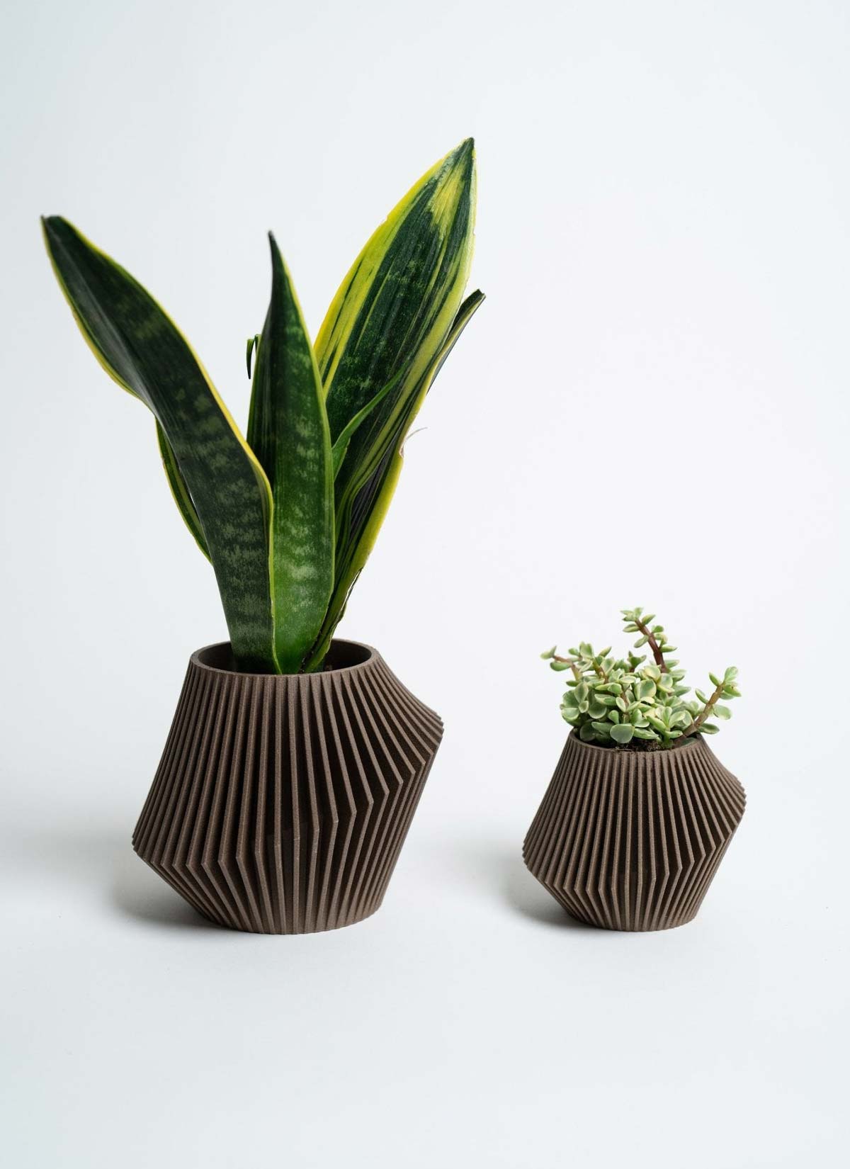 Disc Modern Indoor Planter