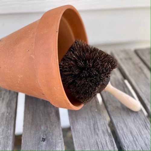 Flower Pot Brush - Made in Germany