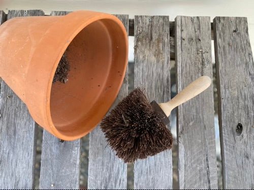 Flower Pot Brush - Made in Germany