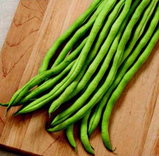 Fortex Pole Bean