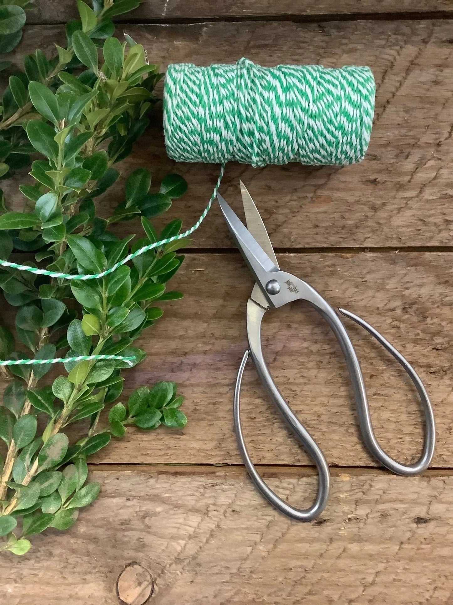 Garden Gift Box - Gloves and Snips