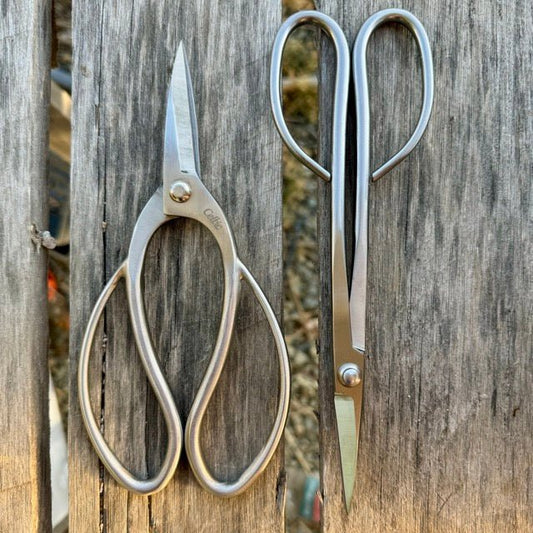 Garden Gift Box - Stainless Garden Scissor Set