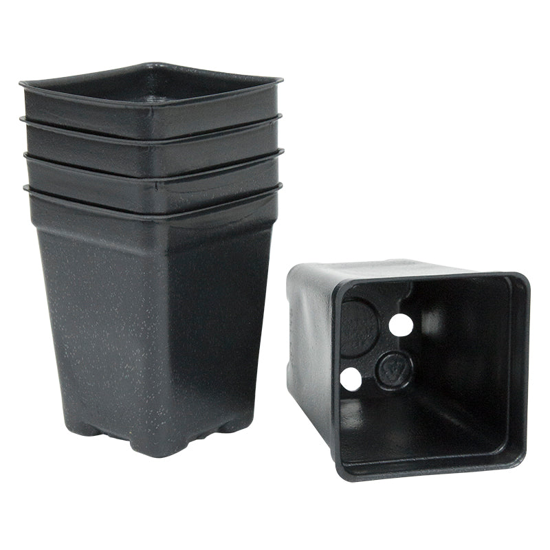 Plastic Pot Deep Vacuum 3" sq