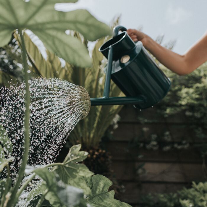 Haws Bearwood Brook - Watering Can