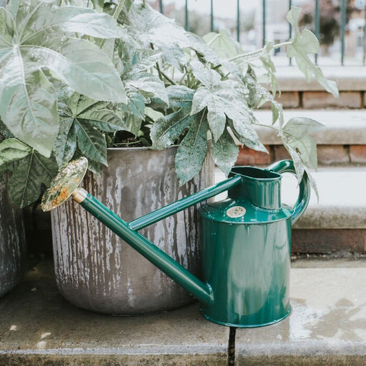 Haws Bearwood Brook - Watering Can