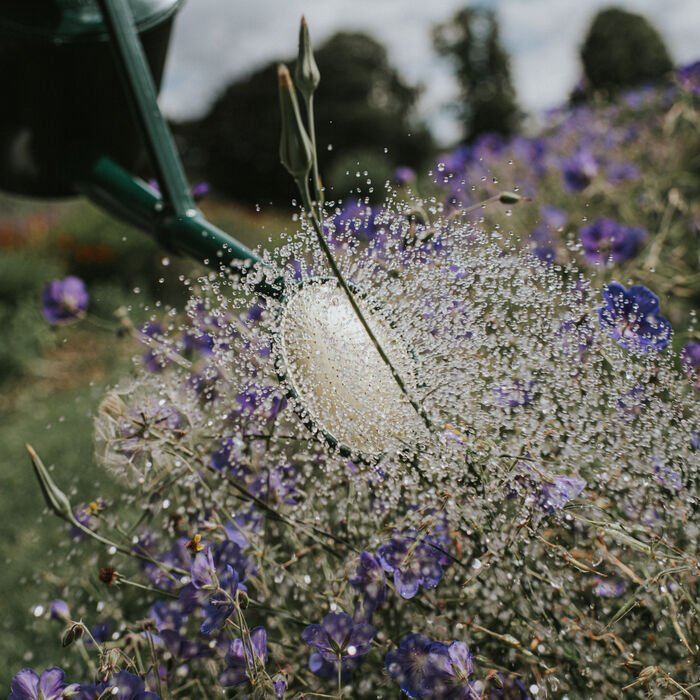 Haws Cradley Deluxe - Watering Can