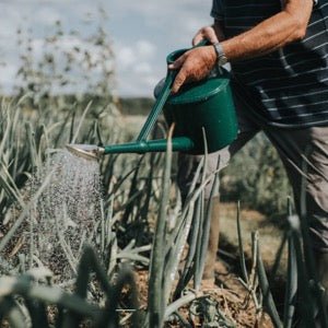 Haws Cradley Deluxe - Watering Can