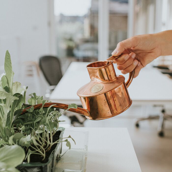 Haws Fazeley - Watering Can