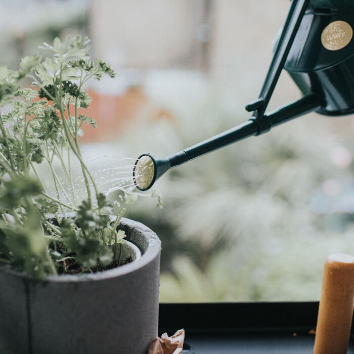 Haws Langley Sprinkler - Watering Can