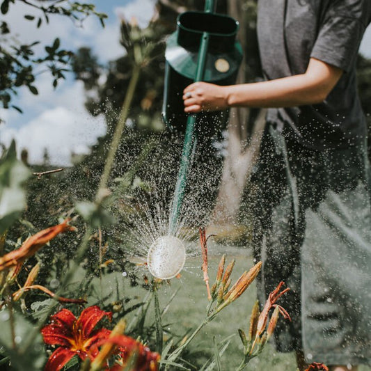 Haws Warley Fall - Watering Can