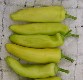 Hot Banana Pepper Seeds