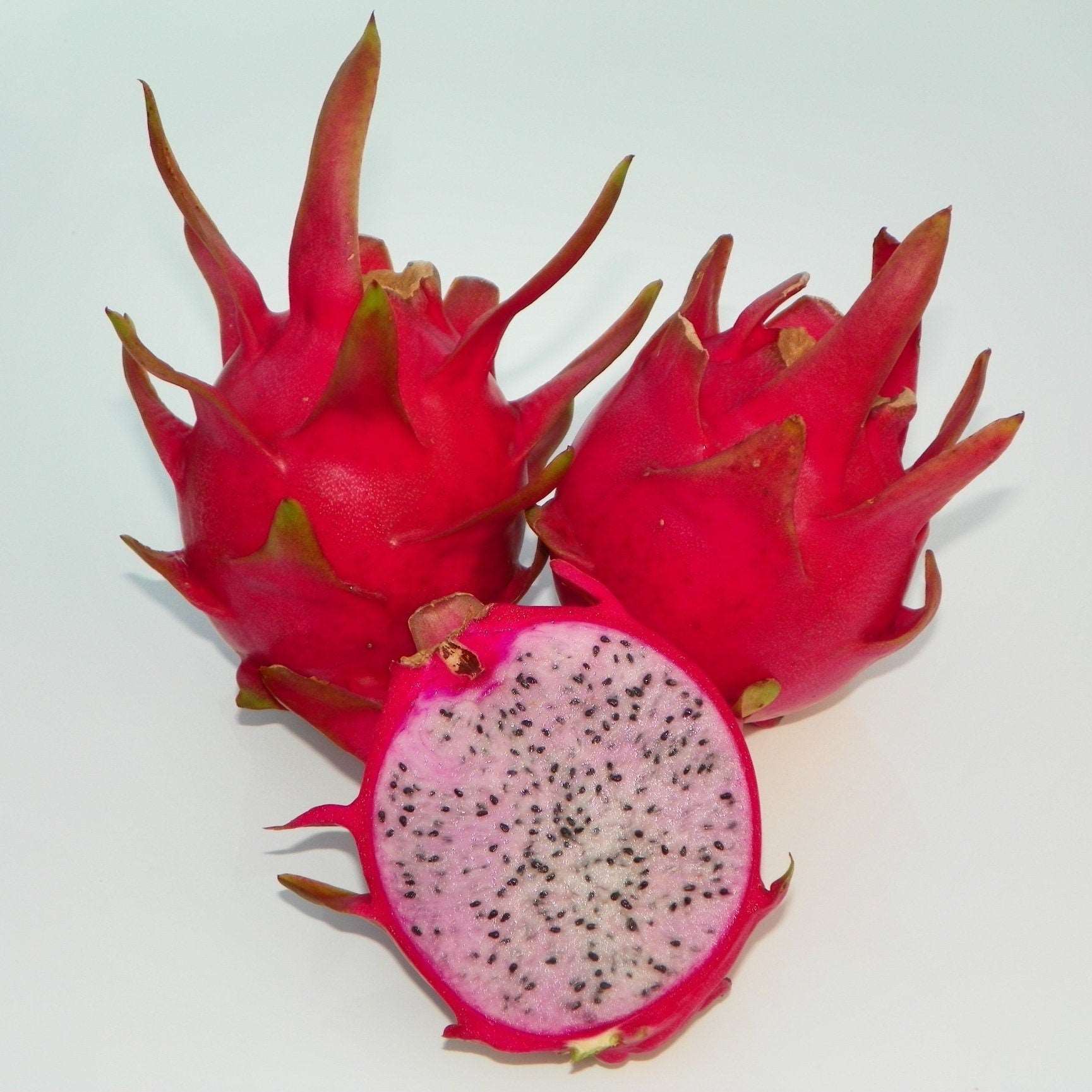 Delight Dragon Fruit