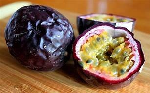 1 Purple Passion Fruit Plant 5 Gallon Size Healtny Harvesters