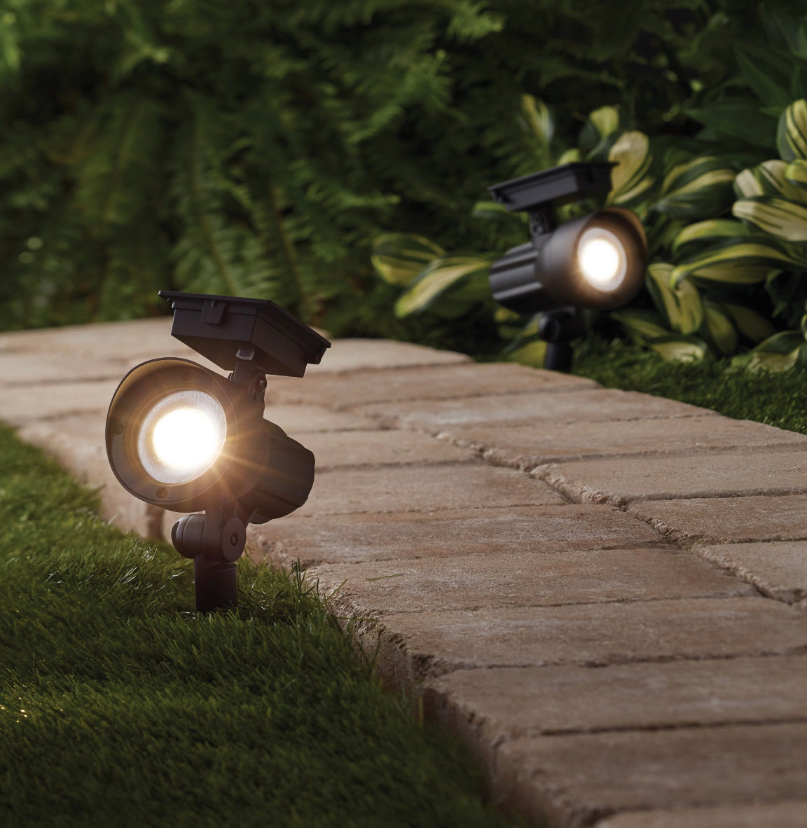 SmartYard 50 Lumen Solar Outdoor Landscape Spot Light, Black (5-Pack)