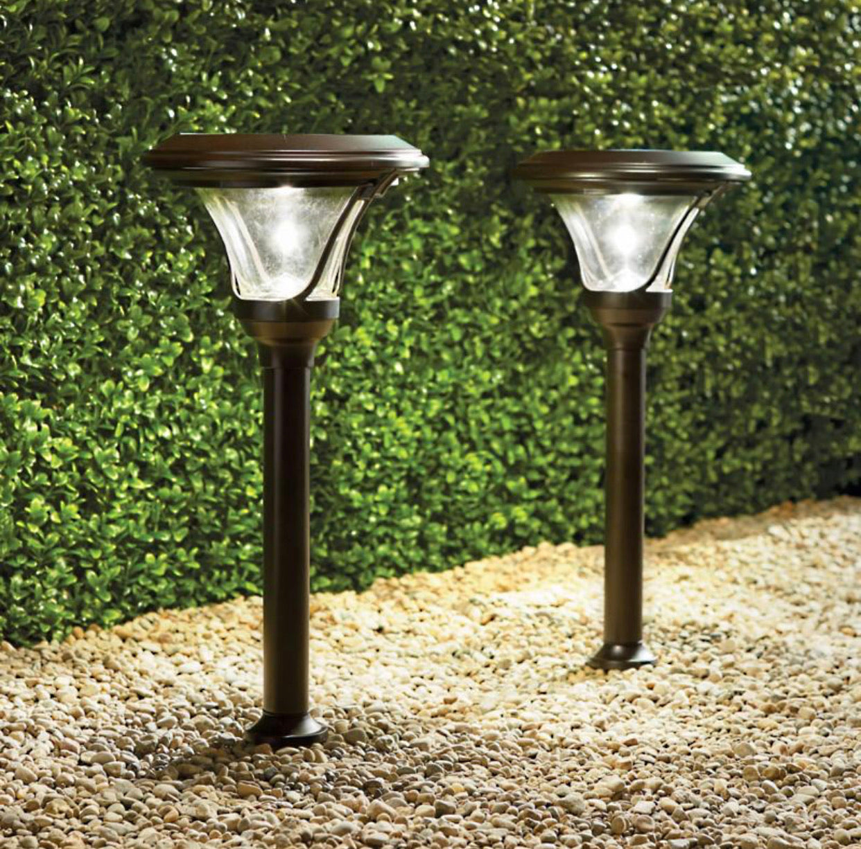 Patriot Oswego Solar Pathway Lights 6 Lumen  8-Pack