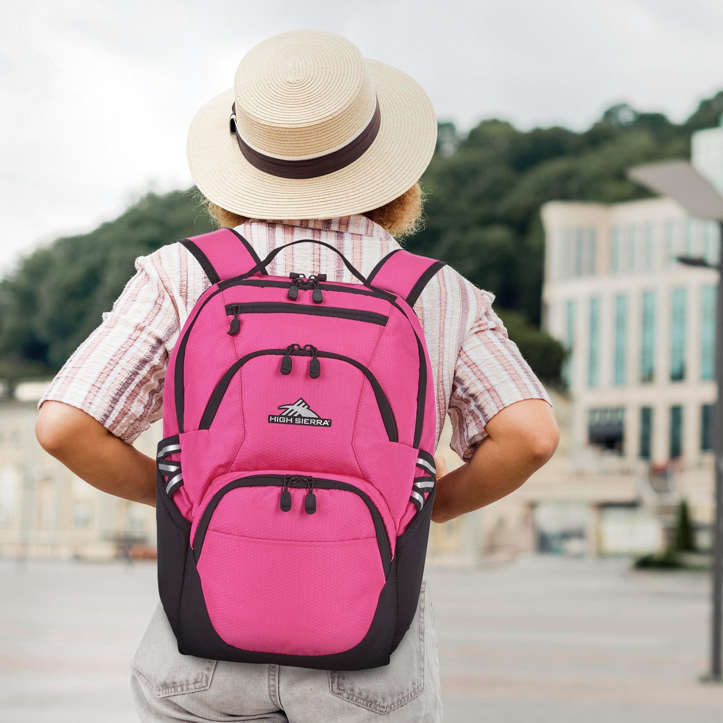 High Sierra Swoop Backpack, Bookbag Fits most 17” Laptops,30L Capacity, Flamingo