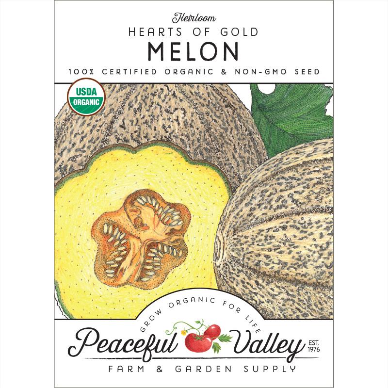 Hearts of Gold Melon Seeds (Organic)