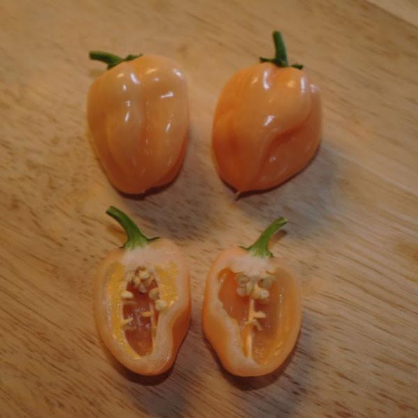 Peach Habanero Pepper Seeds