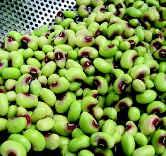 Pinkeye Purple Hull Pea Seeds