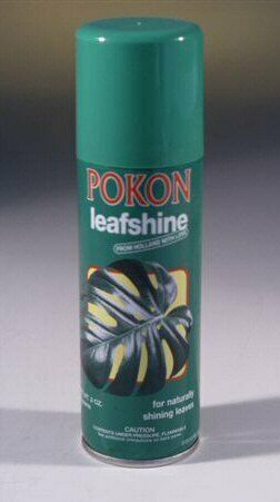 Pokon Leaf Shine (3 oz)