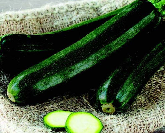 Raven Hybrid Zucchini Seeds