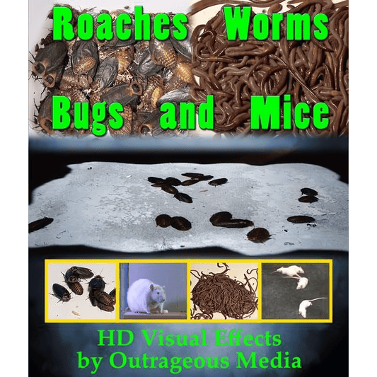 Roaches, Worms, Bugs & Mice, Projection Effect, USB Version