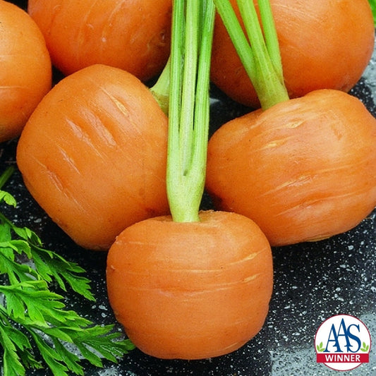 Thumbelina Carrot Seeds