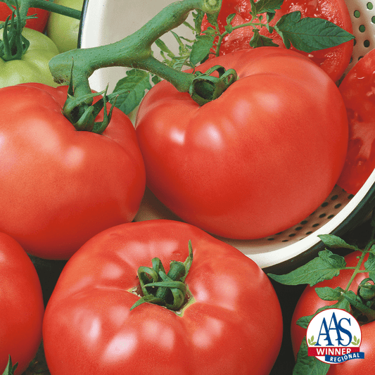 Chef's™ Choice Red Hybrid Tomato Seeds