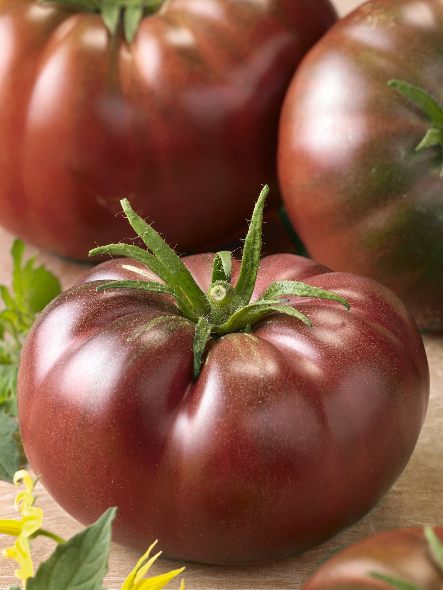 Chef's Choice Black Hybrid Tomato Seeds