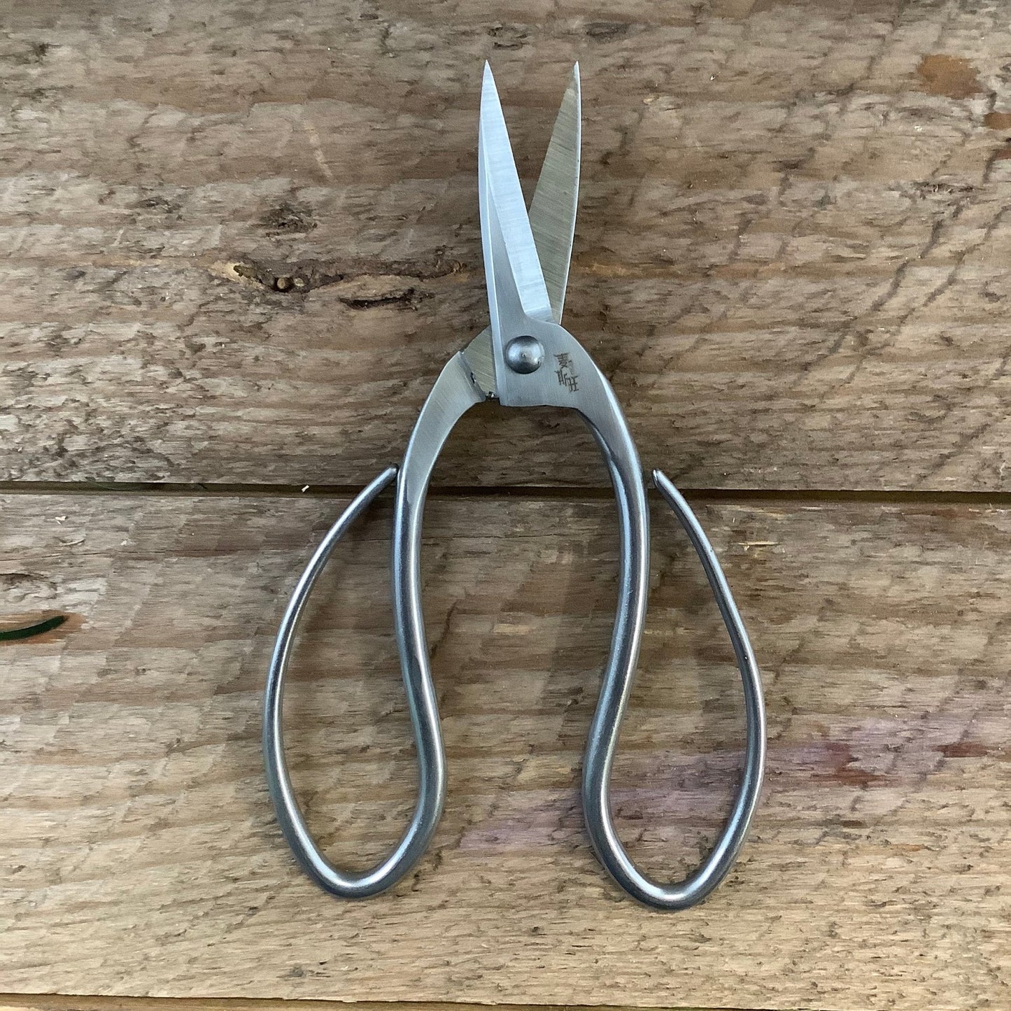 Stainless Garden Scissors (Pruning Shears/Pruners/Secateurs/Clippers)