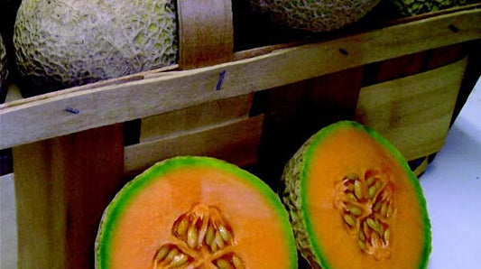 Sugar Cube Hybrid Cantaloupe Seeds