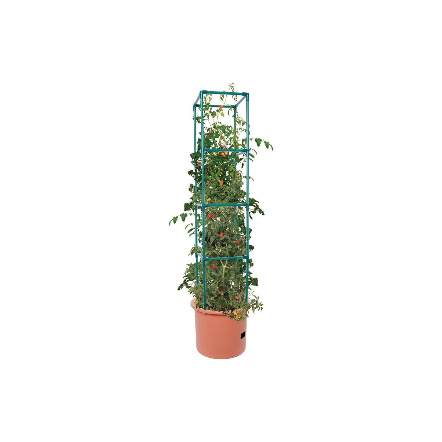 Hydrofarm GCTB Tomato Barrel Pot Garden Planting System and 4 Foot Trellis Tower