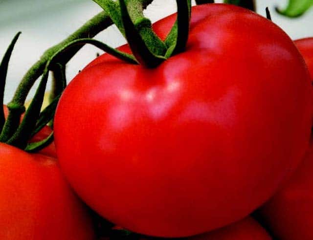 Tonopah Hybrid Tomato Seeds