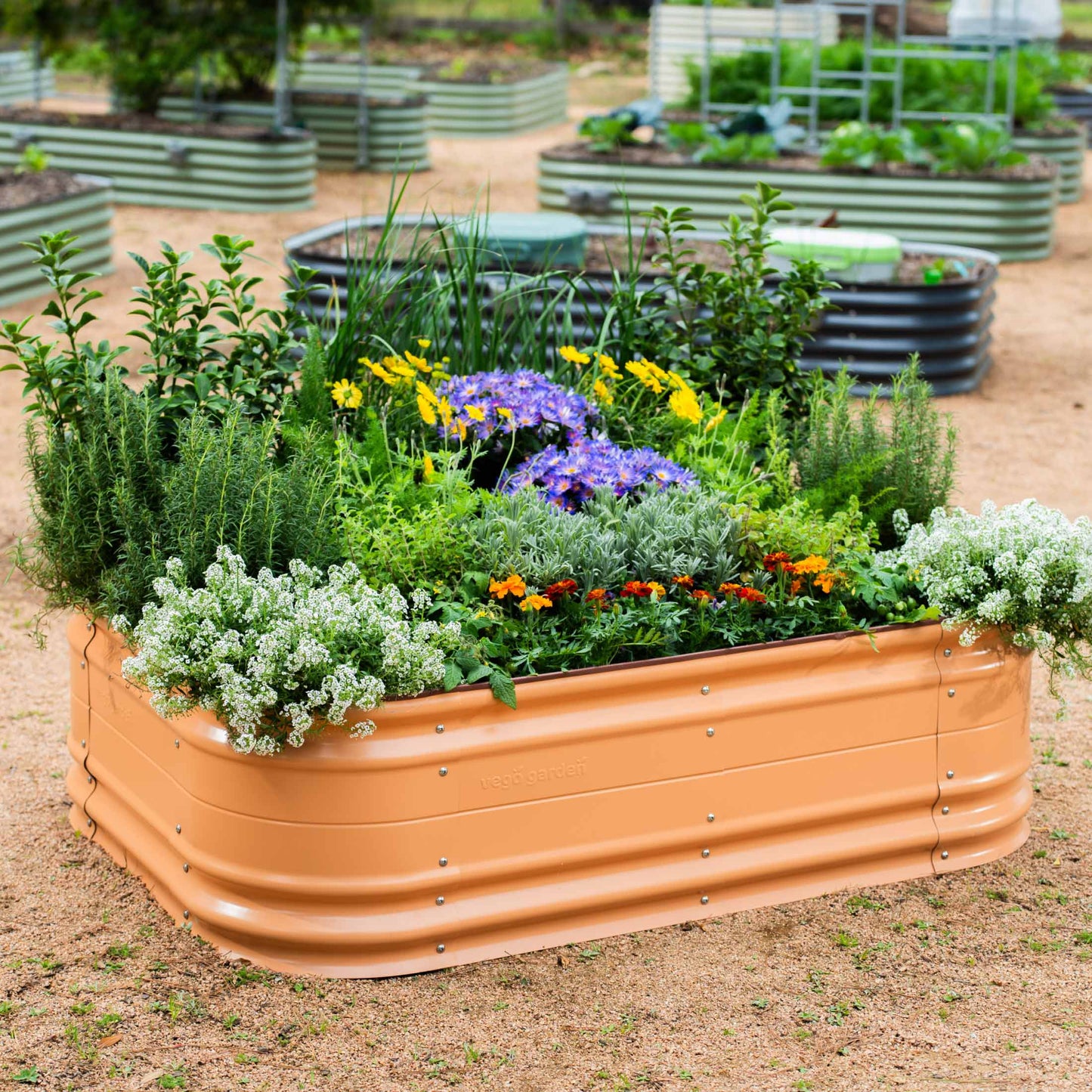 17" Tall 6 In 1 Medium Novel Modular Metal Raised Garden Bed Kit