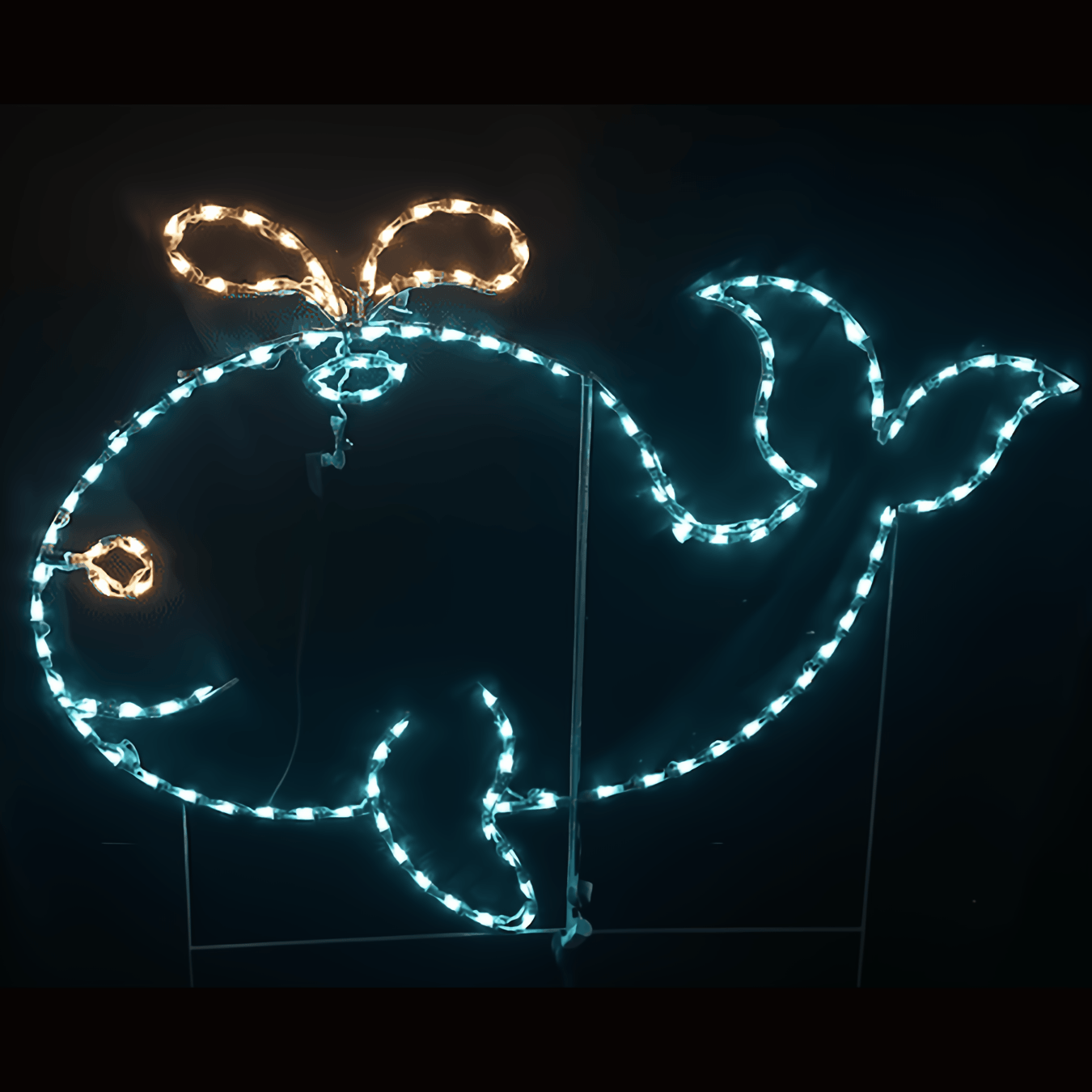 Whale with Animated Blow