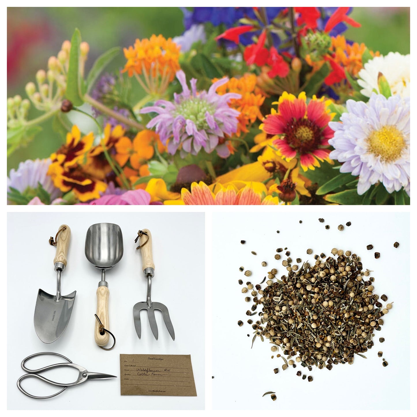 Wild for Wildflowers - Our Grow Kit Gift Box with Wildflowers