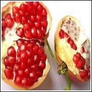 Red ‘Wonderful’ Pomegranate Plant